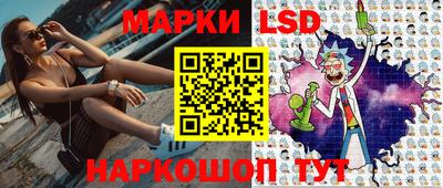 стафф Донецк