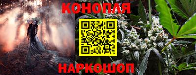 стафф Донецк