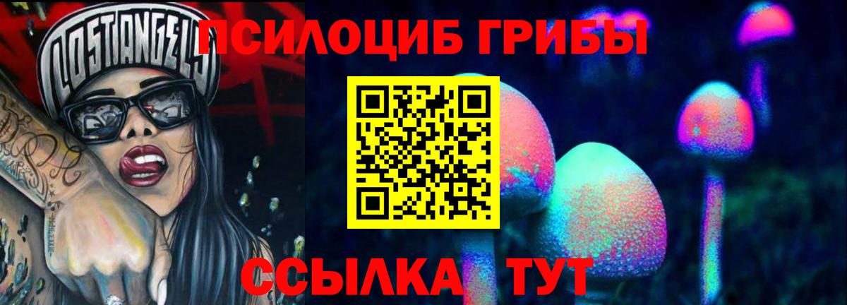 наркошоп  Галлюциногенные грибы Psilocybine cubensis  Вход с VPN  Владимир 